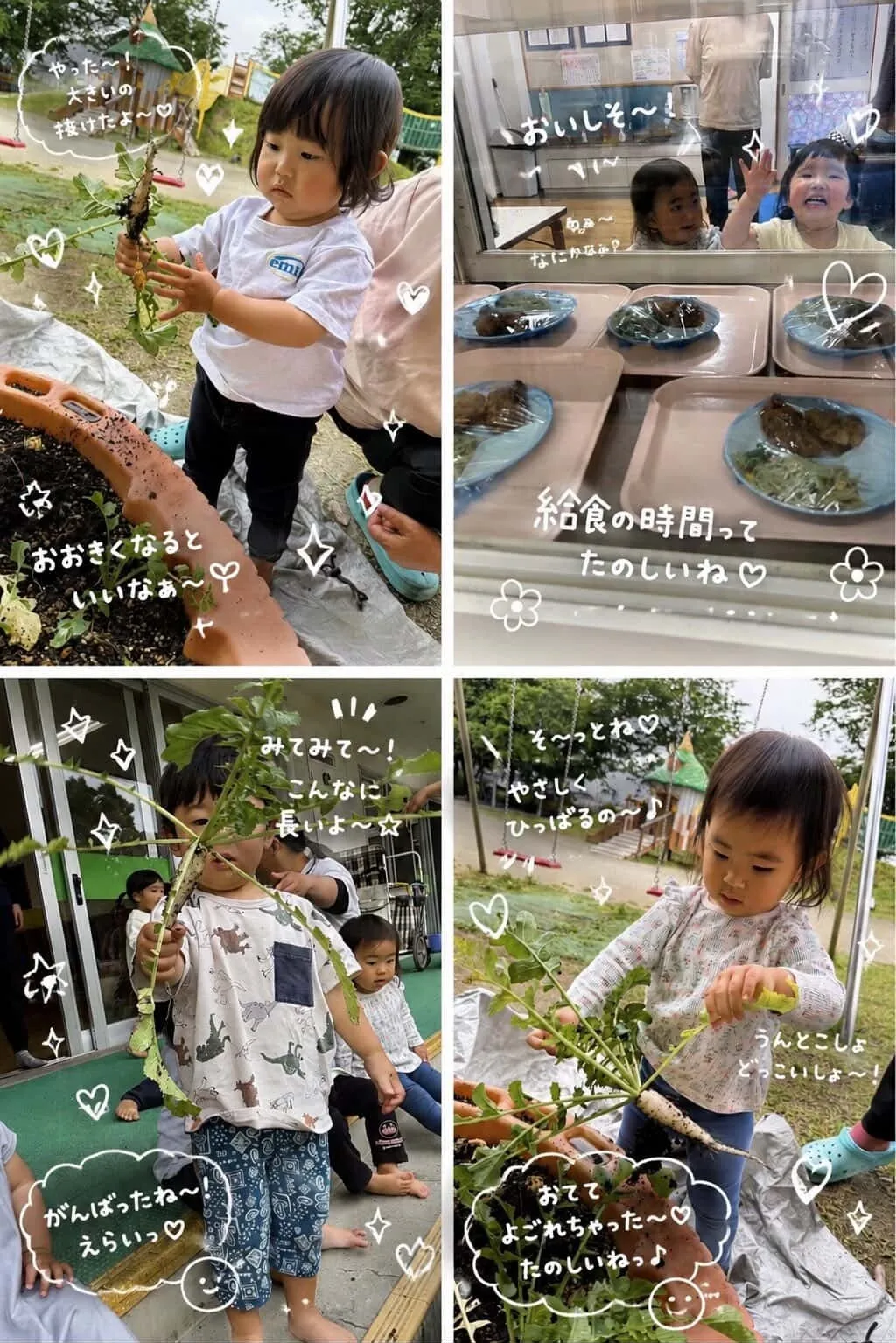 大根の収穫!桃組&たんぽぽ組さん♡
